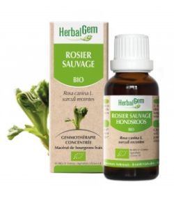 Rosier sauvage (Rosa canina L.) j. p. BIO, 15 ml